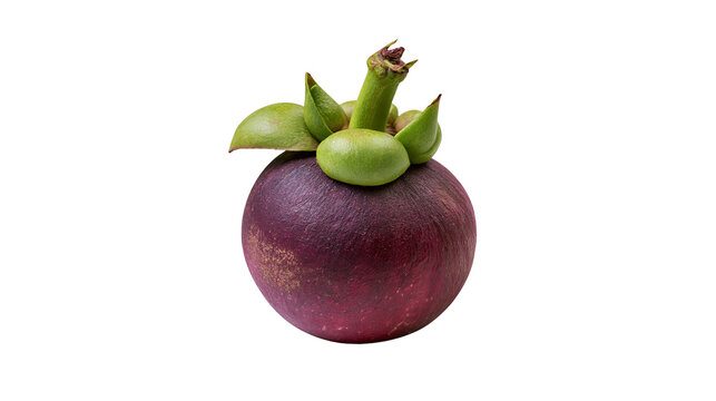 Isolated ripe mangosteen fruit with green crown and purple skin, tropical sweet snack