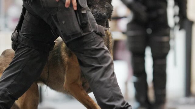 Police dog training with armed tactical officer