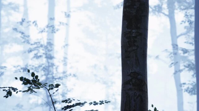 Dark tree trunk with ancient carvings stands prominently in a bright misty woodland scene during the day while surrounding branches fade into the soft white fog of the natural environment