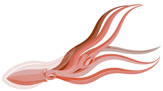 Isolated stylized squid or cuttlefish illustration with flowing tentacles, abstract marine animal art