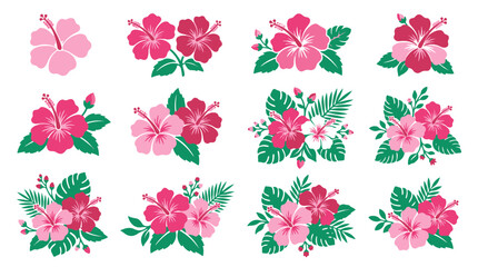 Tropical Hibiscus Flowers Collection Isolated on Transparent Background © Imam