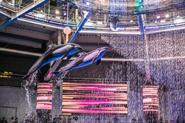 水族館 © kentarou