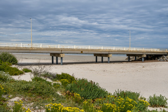 Causeway and bridge leading to the West Beach Boat Ramp in Adelaide, South Australia, featuring supporting pylons, safety railings, and coastal vegetation with yellow wildflowers on the sandy shore