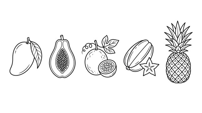 Tropical exotic fruits outline vector icons set featuring botanical line art of mango papaya passion fruit starfruit and pineapple