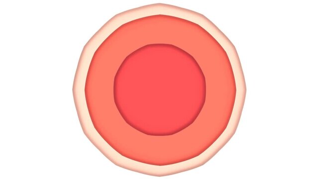 A digital rendering of a layered paper cutout in three concentric circular layers arranged vertically on a plain white background