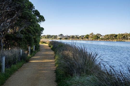 A scenic dirt walking and cycling path curving alongside a calm river in Anglesea, Victoria, Australia, framed by dense native trees, coastal grasses, and distant houses&nbsp;in the regional town.