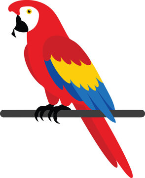 Vibrant scarlet macaw parrot cartoon vector illustration perched on a dark branch with bright colorful feathers