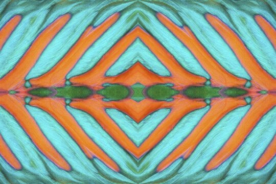 PHOTOMONTAGE, detail of dorsal fin, parrot fish (Scarus), Pacific Ocean, Great Barrier Reef, UNESCO World Heritage, Australia