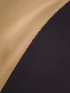 A lonely desert wanderer in the Gobi Desert, Dunhuang, China