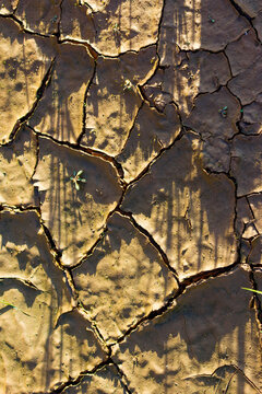 Close-up view of sun-baked cracked earth texture showing detailed clay patterns and dried mud silt after a drought with long shadows cast across the parched surface