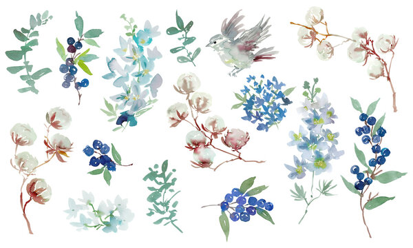 Watercolor Winter Botanical PNG Clipart Set with Abstract Hand-Painted Cotton Flowers, Delphiniums, Berries, Leaves and Bird for Wedding Invitations, Holiday Cards and Surface Design
