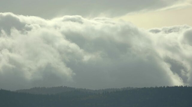 Dramatic storm clouds rolling over a dark pine forest silhouette