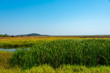 Wetlands and Floodplains in Australia's Northern Territory © Adwo