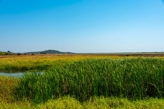 Wetlands and Floodplains in Australia's Northern Territory