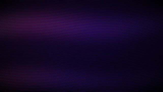 Flowing line waves in purple and pink - dreamy abstract looping background 4K