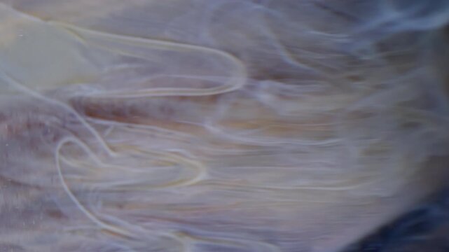 Vertical video. Splash fluid. Geometric texture. Defocused yellow colorful ink in water acrylic swirl flowing on abstract background.