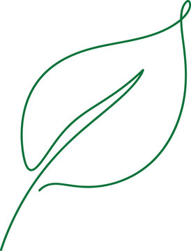 Simple green leaf illustration drawn with one line Vector