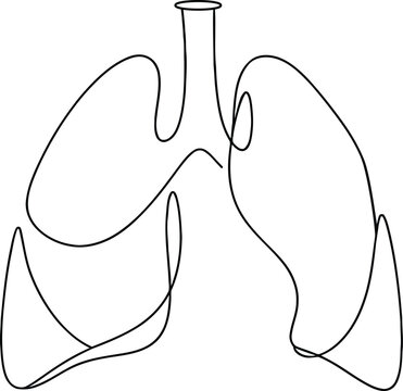 Continuous single line drawing of human lungs illustration Vector