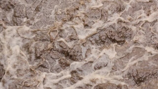 Brown Tree Bark Texture with Rugged Ridges, Layered Fiber Patterns, Weathered Natural Surface, Earthy Beige and Brown Organic Background for Textile and Design Use