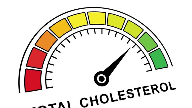 Animated total cholesterol level gauge meter moving from risk red zone to healthy green zone indicating improved cardiovascular health and successful medical treatment progress for patient wellness