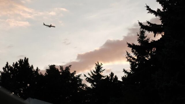 A passenger airplane flying high in a sunset sky above a silhouette of dark, dense forest trees