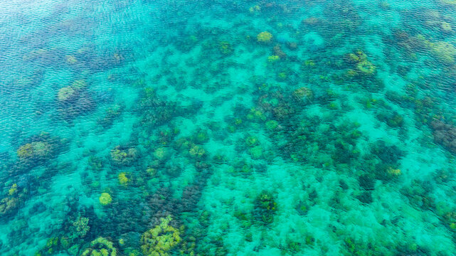 Top view of natural coral formations in shallow sea water with rippling sun reflections, perfect for summer vacation, snorkeling, and environmental conservation themes. concept environment lagoon.