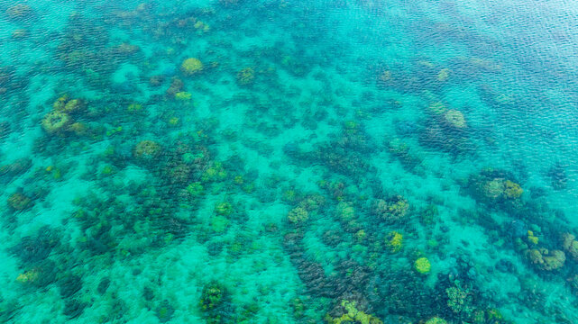 Top view of natural coral formations in shallow sea water with rippling sun reflections, perfect for summer vacation, snorkeling, and environmental conservation themes. concept environment lagoon.