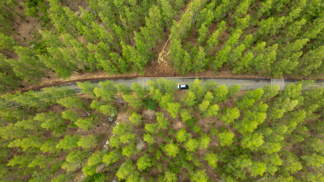 Aerial view of dark green forest road and white electric car Natural landscape and elevated roads Adventure travel and transportation and environmental protection concept	