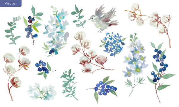 Watercolor Winter Botanical Vector Clipart Set with Abstract Hand-Painted Cotton Flowers, Delphiniums, Berries, Leaves and Bird for Wedding Invitations, Holiday Cards and Surface Design