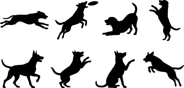 Black Vector Silhouette Set of Active Dogs Running Jumping and Playing