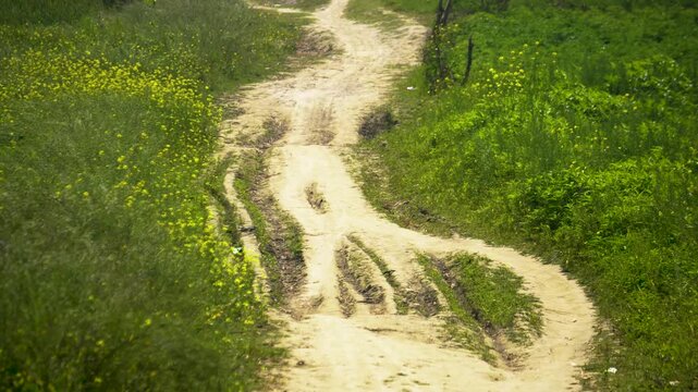 Rural dirt path winds through a green field with yellow mustard flowers in Bangladesh
