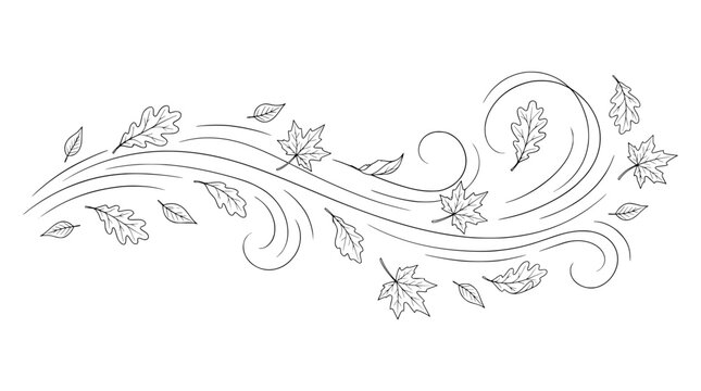 Black falling leaves silhouette border, flying autumn leaf stream vector, windy seasonal foliage decorative line for background design