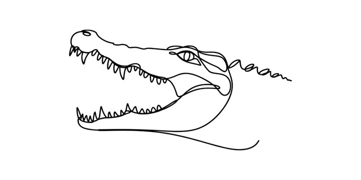 Continuous single line drawing of an alligator head with open mouth