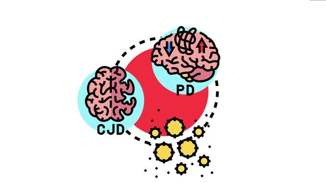 Prion infection causes neurodegenerative diseases impacting the brain and central nervous system, involving protein misfolding and cellular damage leading to various neurological disorders