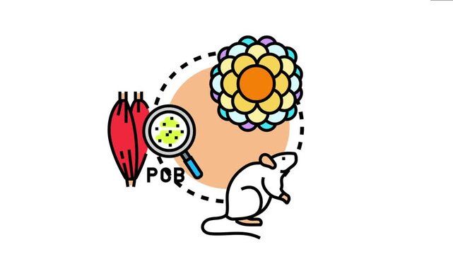 Prion protein aggregation illustrates biological processes and medical research concepts affecting cellular structures, muscle tissue, and animal models in scientific studies