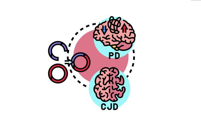 Protein aggregation process leading to neurodegenerative conditions, encompassing brain disorders like parkinson's disease and creutzfeldt jakob disease, depicted as a biological mechanism