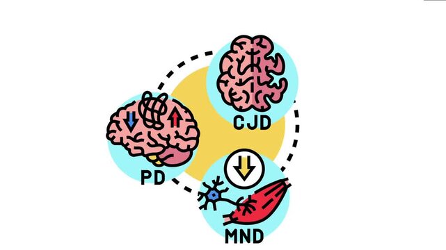 Prion related neurodegeneration concept symptoms and effects on the brain, motor neurons, and muscle, highlighting conditions like cjd, pd, and mnd in medical