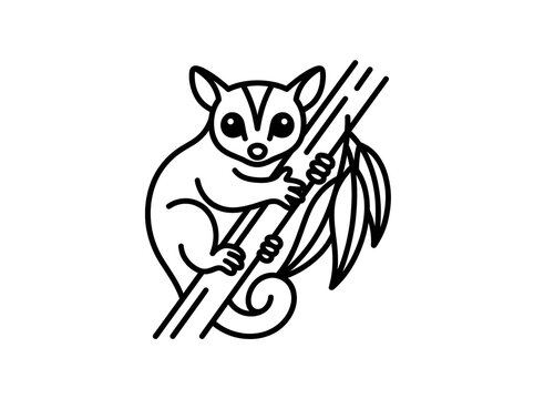 ​Minimalist continuous line art vector illustration of a cute sugar glider on a tree branch, elegant and modern aesthetic design.