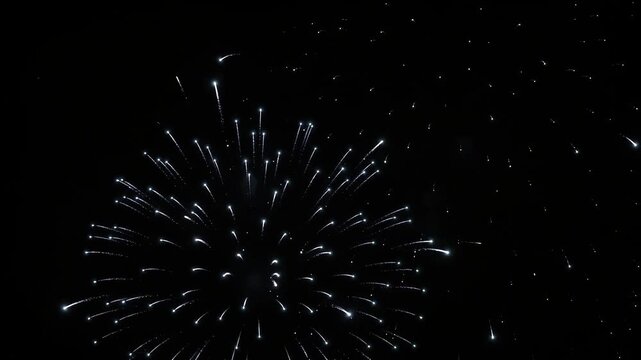 A breathtaking display of vibrant blue fireworks lights up the dark night sky with a brilliant explosion of color