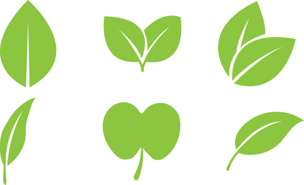 minimalist green botanical leaf silhouettes collection with elegant sprouting leaves and organic plant shapes on a white background