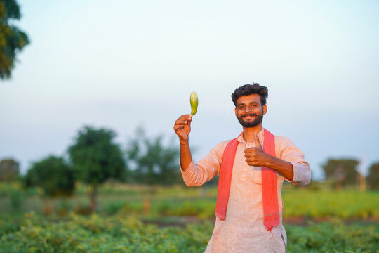 young indian farmer holding green Eggplant standing at green agricultural field