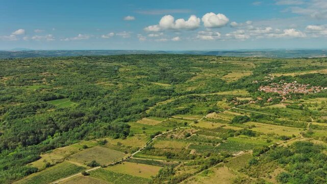 Aerial view of old rustic vintage houses with wine cellars in Rogljevacke pivnice in Negotin region of Serbia, 4k