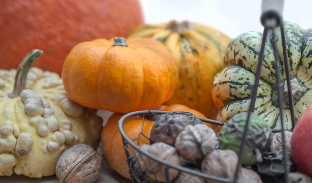 closeup on decorative gourds with heap of little be jack squash, autumnal vegetables and fresh nuts