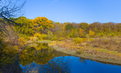 small river with red dry autumn forest on coast at the bright day © Yuriy Kulik