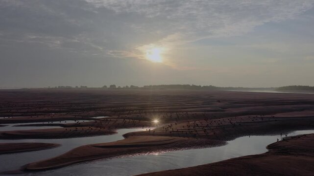 Aerial Top Down View of Mallard Ducks on Sandbar Wetland Dongting Lake