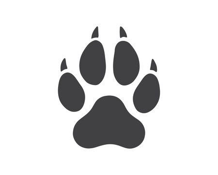 Wild animal paw print with sharp claw marks