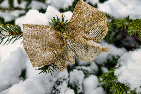 A decorated tree stands covered with snow during the holiday season. The tree has gold ribbons and sparkles among the snowflakes