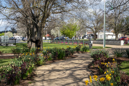 The Beaufort Memorial Garden in the regional town center of Beaufort, Victoria, Australia. A well-kept civic green space honouring the community&rsquo;s heritage in the small country town.