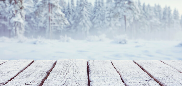 Snow covered wooden planks framing a frozen woodland, with frost laden evergreens fading into a soft winter landscape