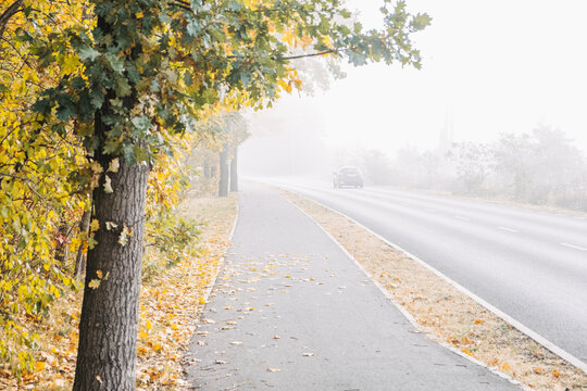 Car driving on foggy road beside oak and empty footpath. Safe following distance, car in fog, low beam headlights, defensive driving